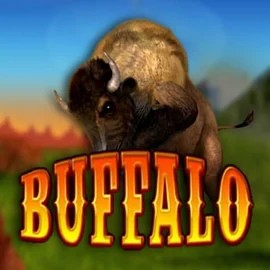 Buffalo Bingo slot visual from MGA Games available on kittybingocasino.com